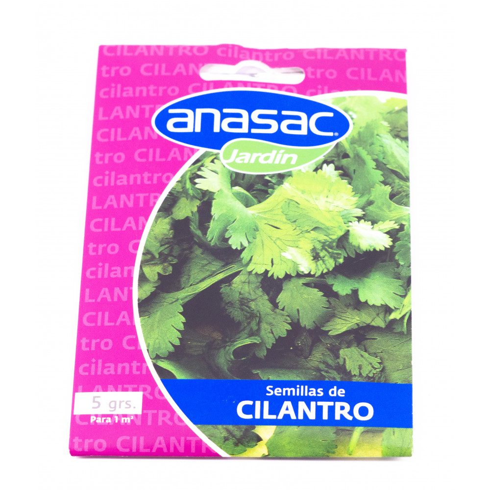 Semilla 5 Grs Cilantro