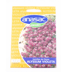Sem Alyssum Violeta 0.2 Gr